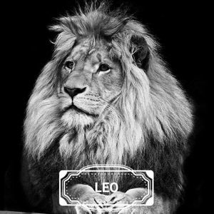 Meet your Posher, Derrick